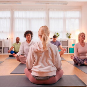 shoganai-life-mindfulness-cursos-formacion